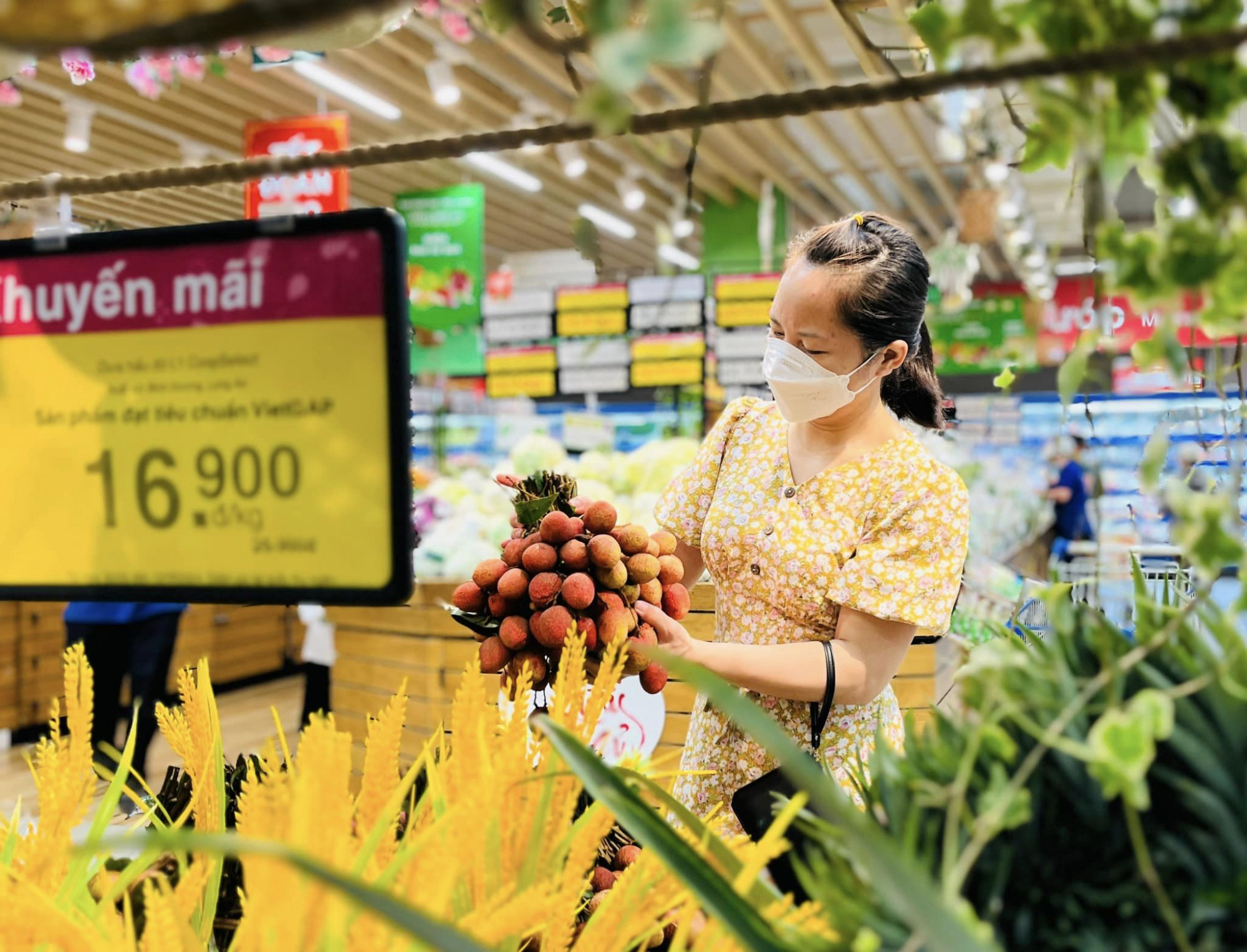 Vải Thanh Hà lên kệ các siêu thị thuộc Saigon Co.op