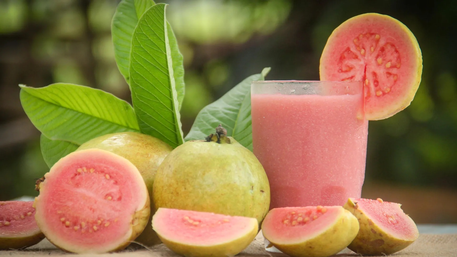 Nước ép ổi không chỉ giúp giải nhiệt ngày nóng mà còn có thể giúp tăng mức hemoglobin, chống lại bệnh thiếu máu ở phụ nữ và các cô gái tuổi teen - Ảnh: Shutterstock
