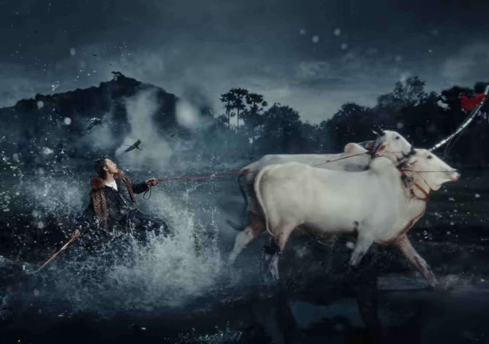 Lễ hội đua bò An Giang được Sơn Tùng đưa vào MV mới - Ảnh chụp màn hình