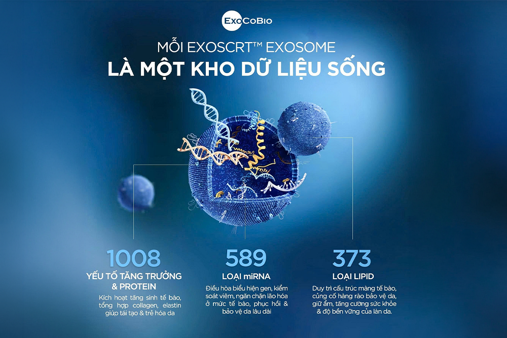 Exosome đang được ứng dụng rộng rãi trong da liễu - thẩm mỹ
