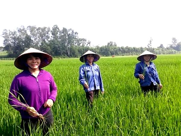 fdefg - Ảnh: Hội LHPN Việt Nam