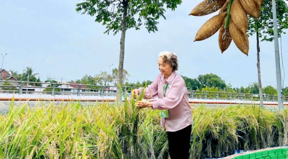 Giáo sư, tiến sĩ Nguyễn Thiện Nhân: "Đợi thiếu lao động mới điều chỉnh là quá muộn" Phó giáo sư, tiến sĩ, anh hùng lao động Nguyễn Thị Trâm (sinh năm 1944) vẫn miệt mài lao động, nghiên cứu phát triển các giống lúa - Ảnh do nhân vật cung cấp