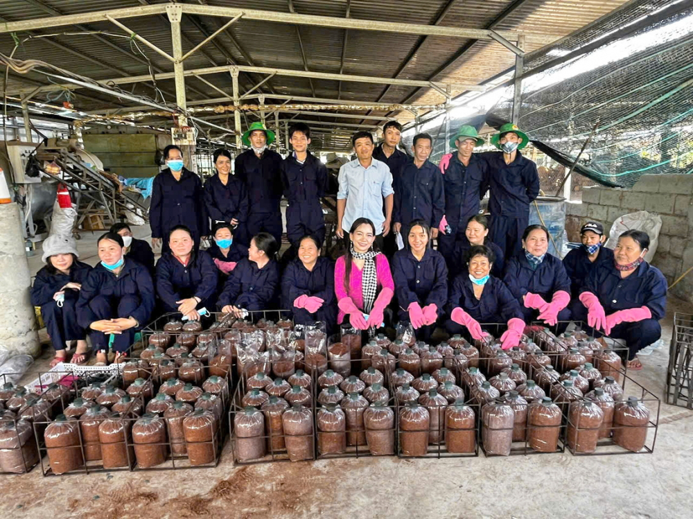 Hợp tác xã Nông nghiệp Tà Đảnh (tỉnh An Giang) tận dụng rơm rạ và các nguồn phụ phẩm để trồng nấm dược liệu