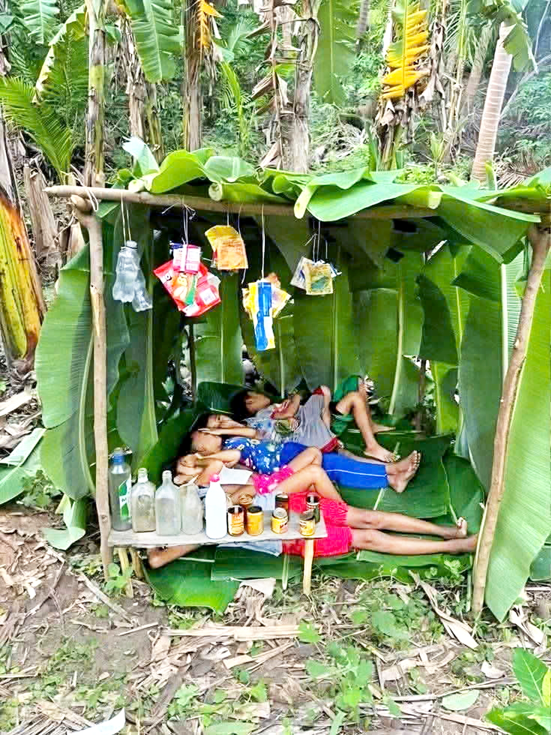 Ngày ấy, tác giả và bạn bè cũng cất chòi, chơi bán hàng và ngủ luôn trong “căn nhà” tuổi thơ như thế này - ẢNH: HƯNG THỊNH 