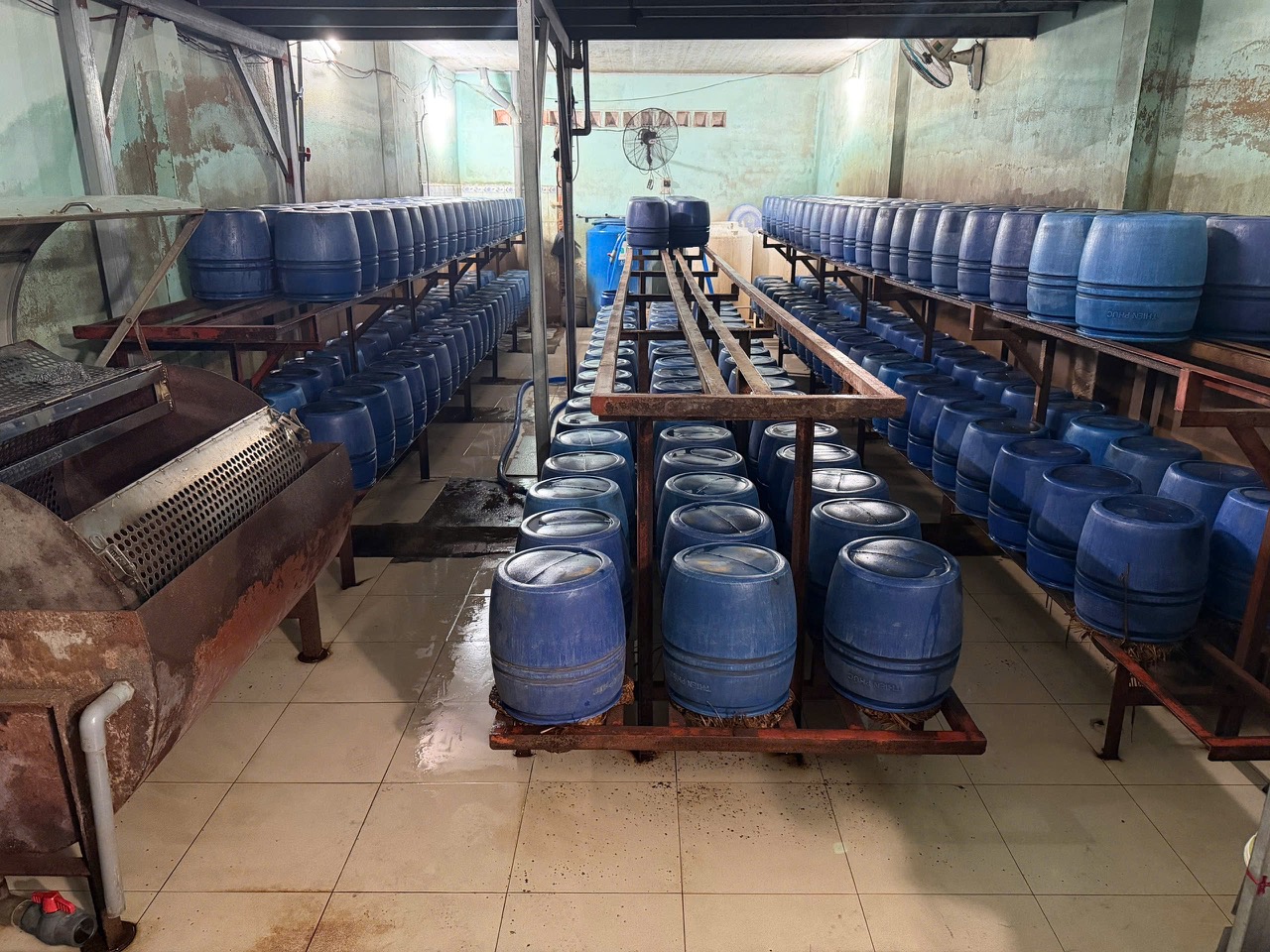 Bên trong 1 cơ sở sản xuất giá đỗ. Ảnh: CACC
