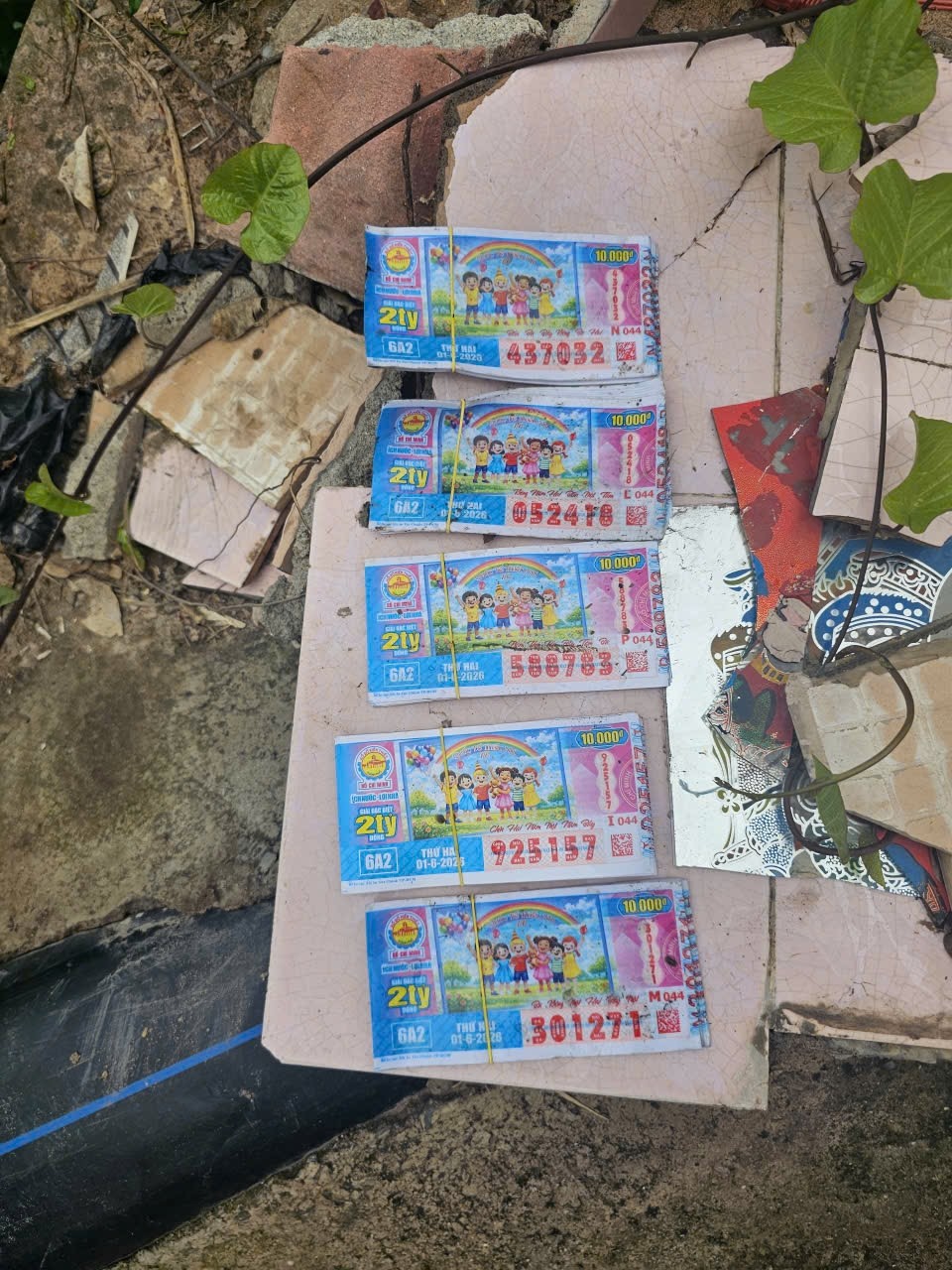 Tang vật cảnh sát thu được. Ảnh: CACC