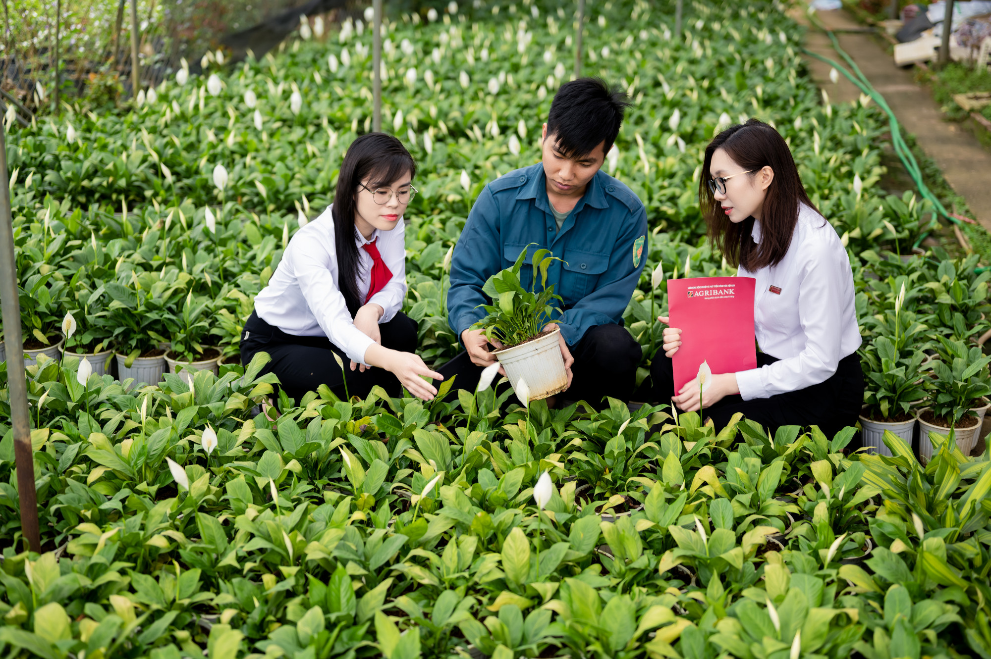 Agribank - Dòng vốn bền bỉ, điểm tựa vững chắc cho người dân và doanh nghiệp Agribank hướng dòng vốn vào lĩnh vực nông nghiệp xanh - Ảnh: Agribank