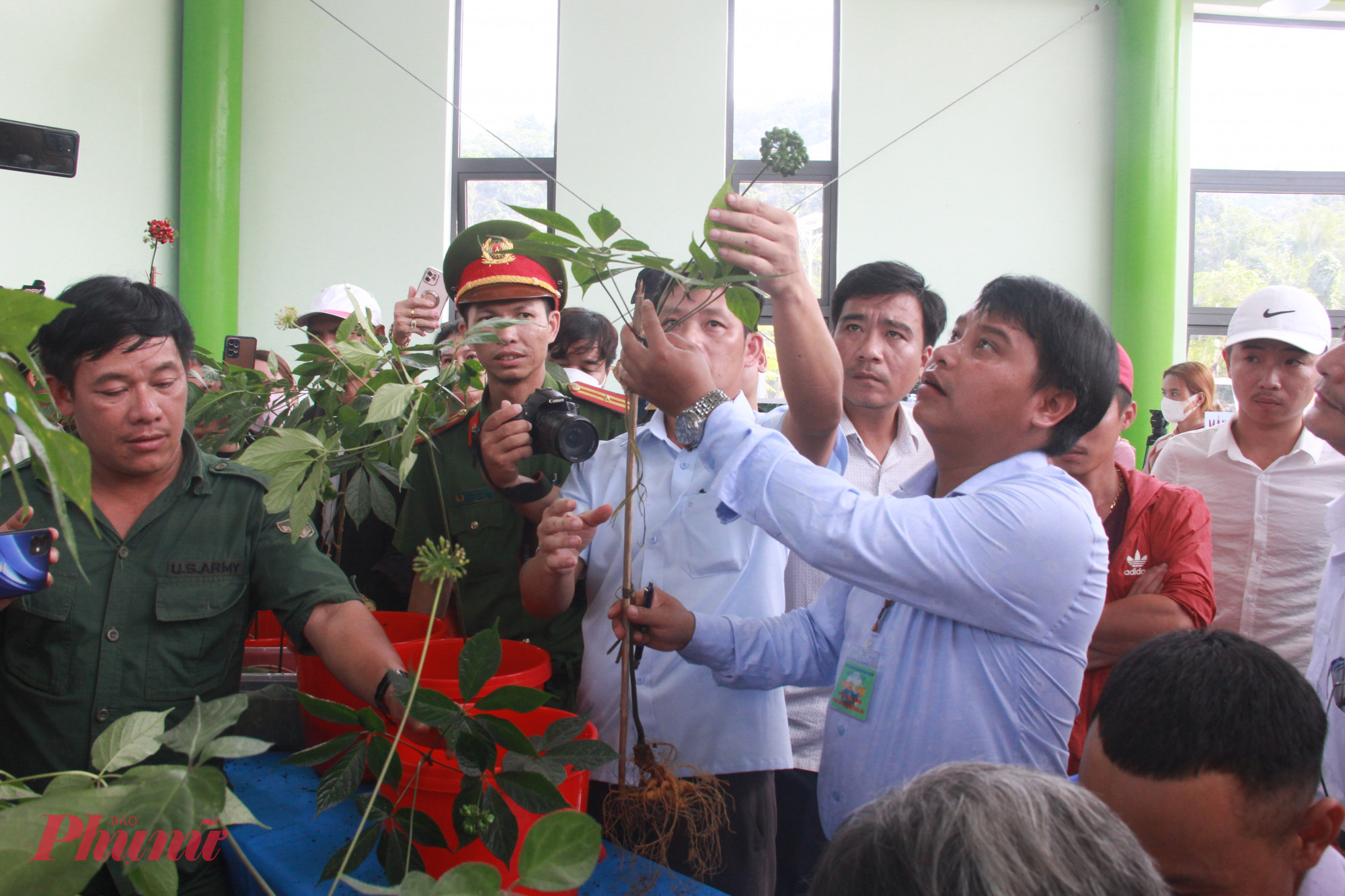 Đà Nẵng đang tổ chức lễ hội sâm Ngọc Linh ngày càng quy mô và chuyên nghiệp hơn, một trong những động thái nhằm đẩy mạnh phát triển thương hiệu.