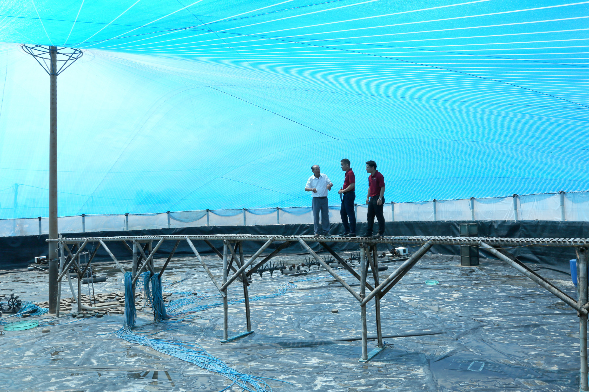 Sau cơn bão số 13 năm 2025, ông Nguyễn Ngọc Châu, Giám đốc Công ty TNHH Ngọc Châu đã và đang tiến hành khôi phục sản xuất - Ảnh: Agribank