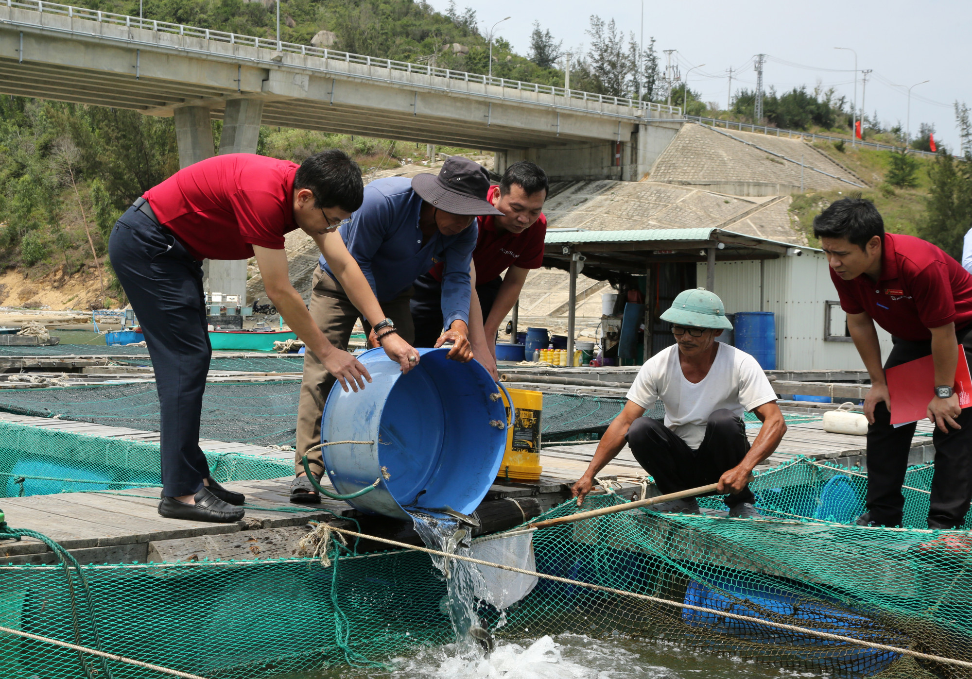 Anh Trần Văn Lẹ đã khắc phục được thiệt hại sau bão, đang xuống giống nuôi vụ cá mới - Ảnh: Agribank
