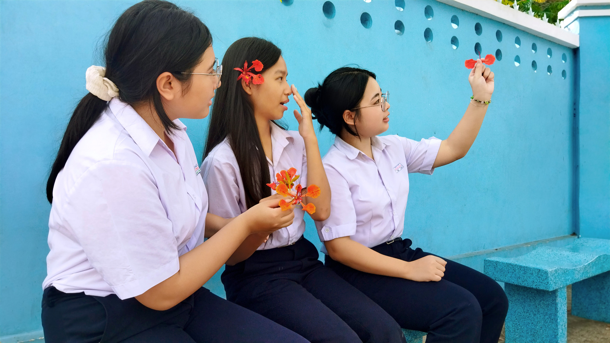 Những cánh bướm xinh xắn được làm từ hoa phượng. Ảnh: Tác giả cung cấp