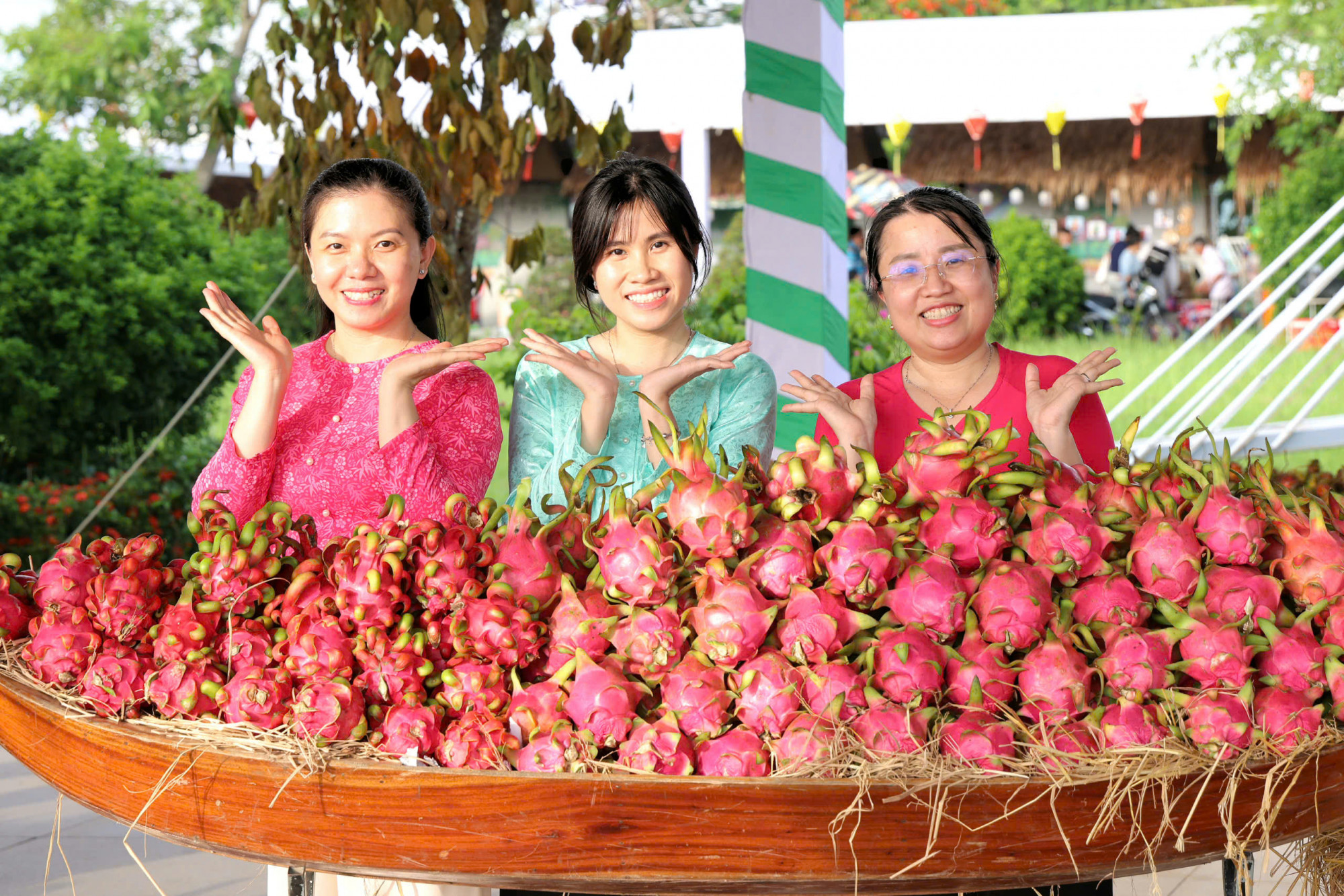Thanh long là loại cây thế mạnh của tỉnh Đồng Tháp. Ảnh: Trung Phạm