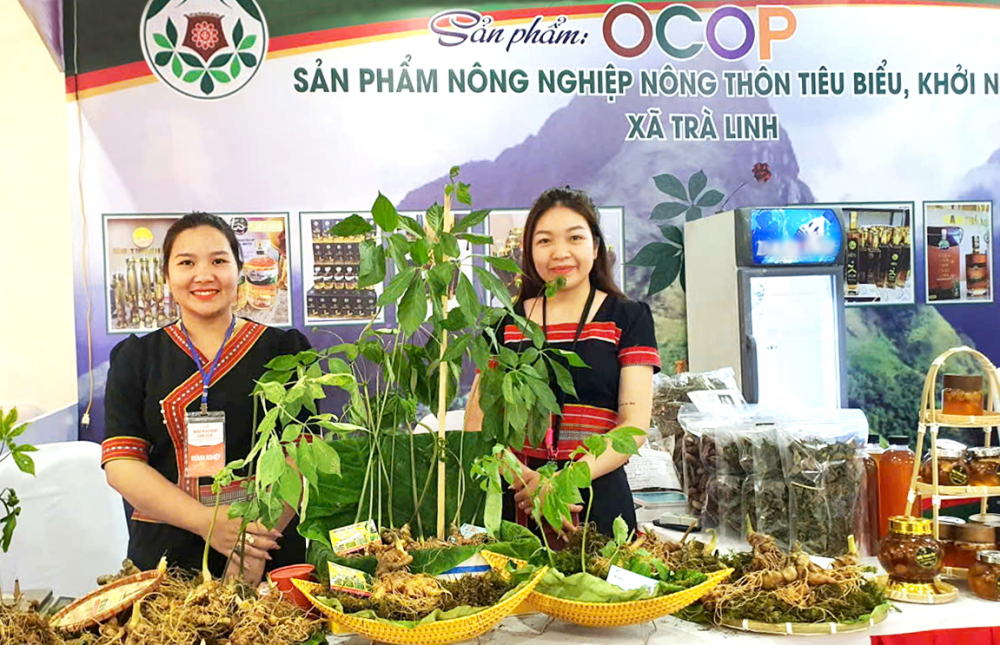 Sản phẩm sâm Ngọc Linh tại triển lãm sản phẩm đặc trưng, tiêu biểu  định hướng xuất khẩu TP Đà Nẵng - Made in Danang Expo 2026 