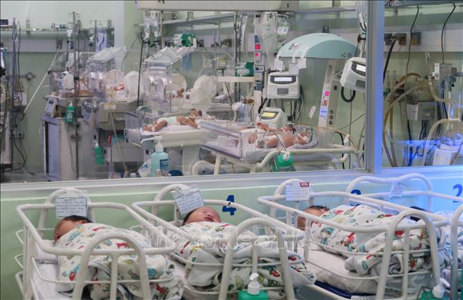 Ảnh minh họa. Nguồn: TTXVN