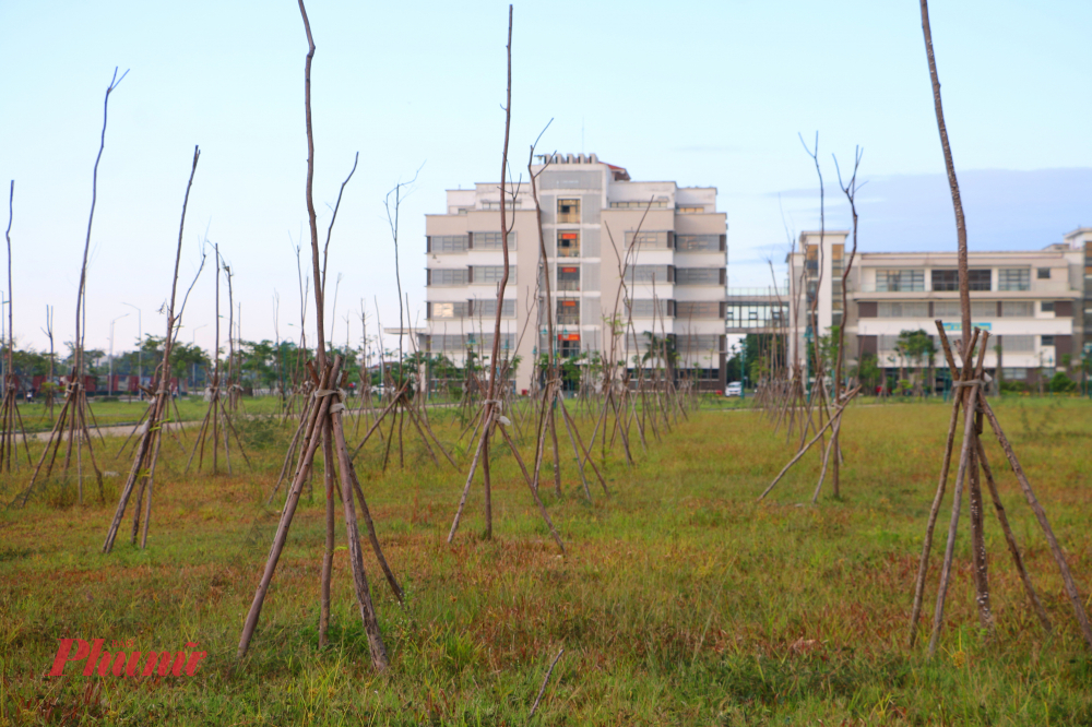 Ban quản lý dự án Green City Huế thông tin tại một số công trình và tuyến đường trọng điểm thuộc dự án hiện đã trồng tổng cộng 2.272 cây xanh và trong quá trình nghiệm thu, bàn giao. 