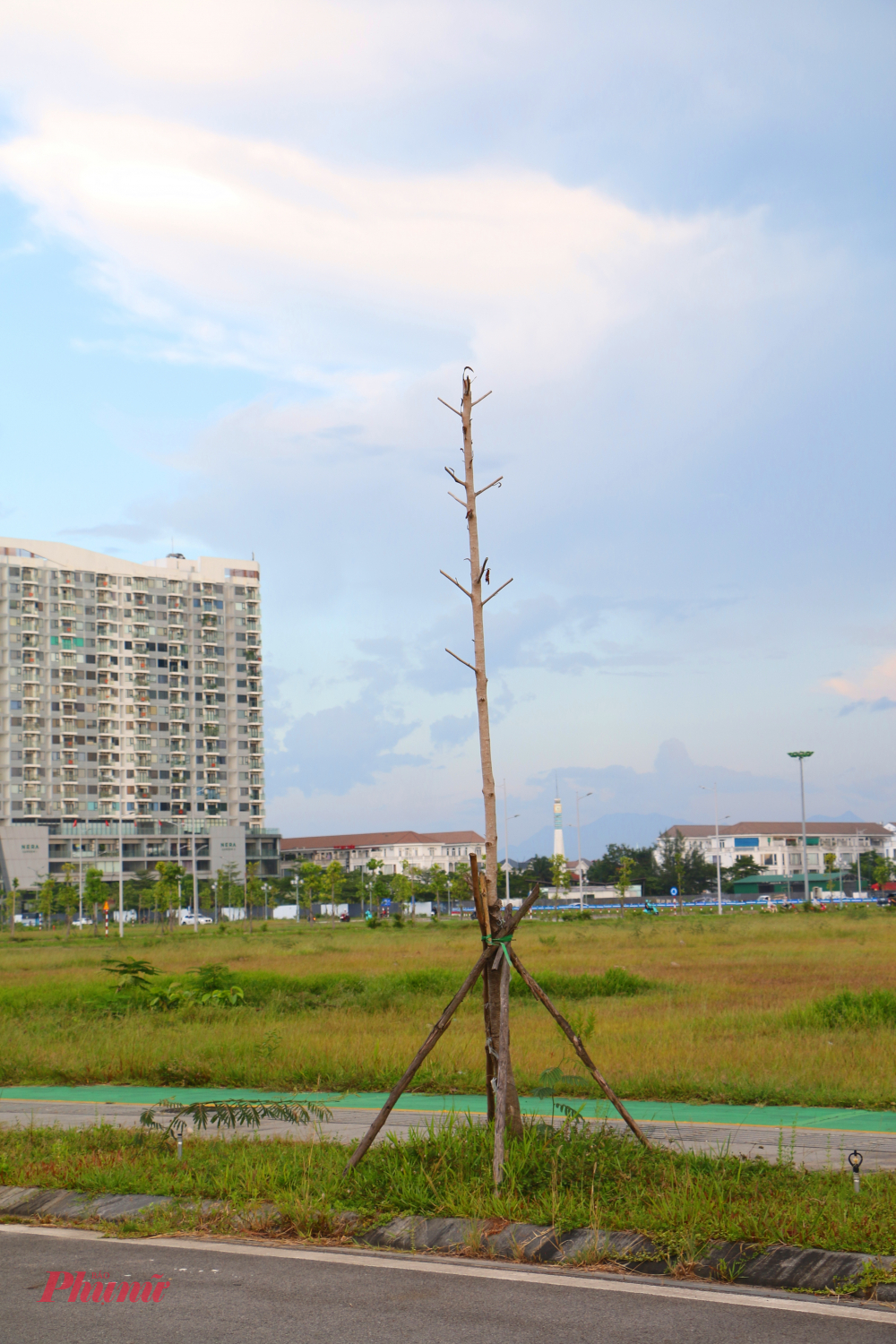 Tình trạng này khiến nhiều tuyến đường, không gian công cộng, công viên nội đô Huế trở nên nhếch nhác, đồng thời làm dấy lên những băn khoăn về chất lượng, hiệu quả công trình sau đầu tư.