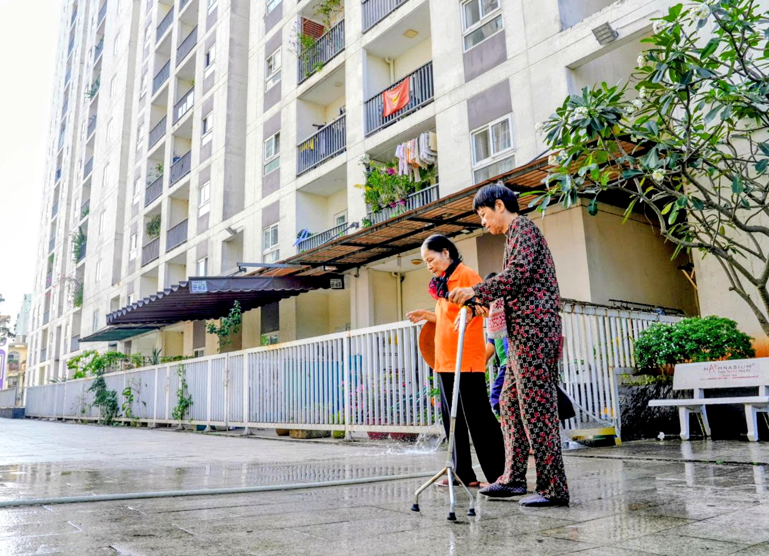 Nhiều người cao tuổi ở các đô thị chọn an hưởng niềm vui tuổi già không phụ thuộc vào con cái - Ảnh minh họa