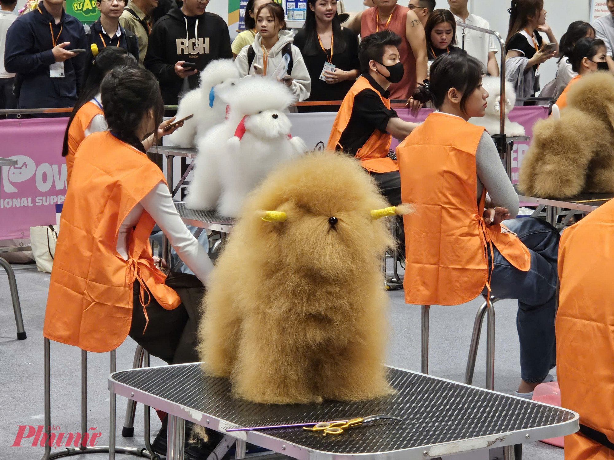 Petfair Vietnam 2026 quy tụ hơn 250 đơn vị trưng bày đến từ 20 quốc gia và vùng lãnh thổ