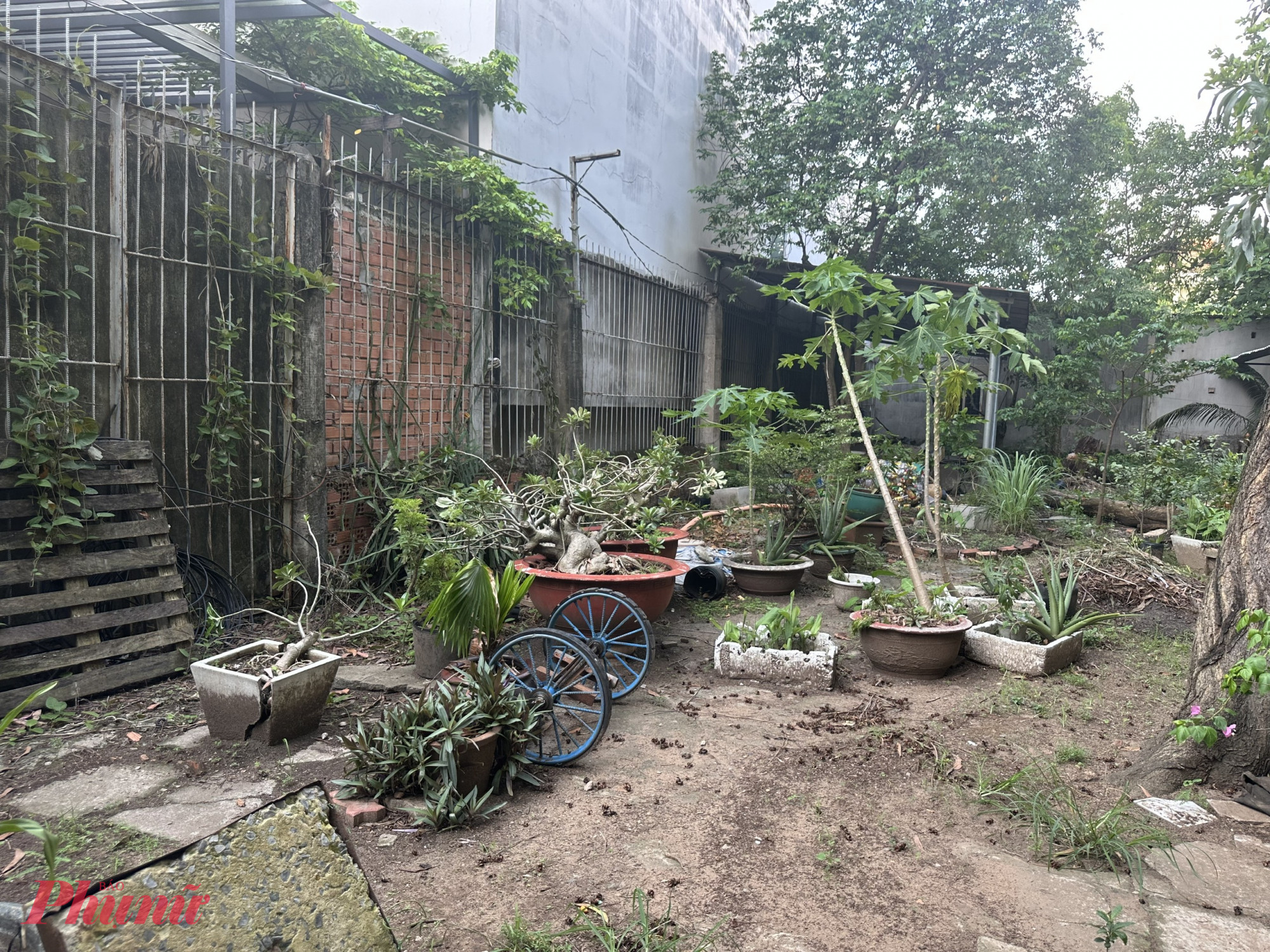 Hàng rào sắt vốn là mặt tiền, là lối ra vào của ngôi nhà, nay trở thành 'mặt sau nằm lọt thỏm phía sau những căn nhà mới của dự án.