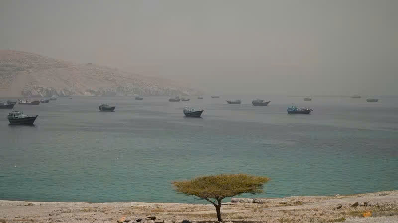 Hình ảnh các tàu neo đậu tại eo biển Hormuz, nhìn từ Musandam, Oman, ngày 11 tháng 6 năm 2026.