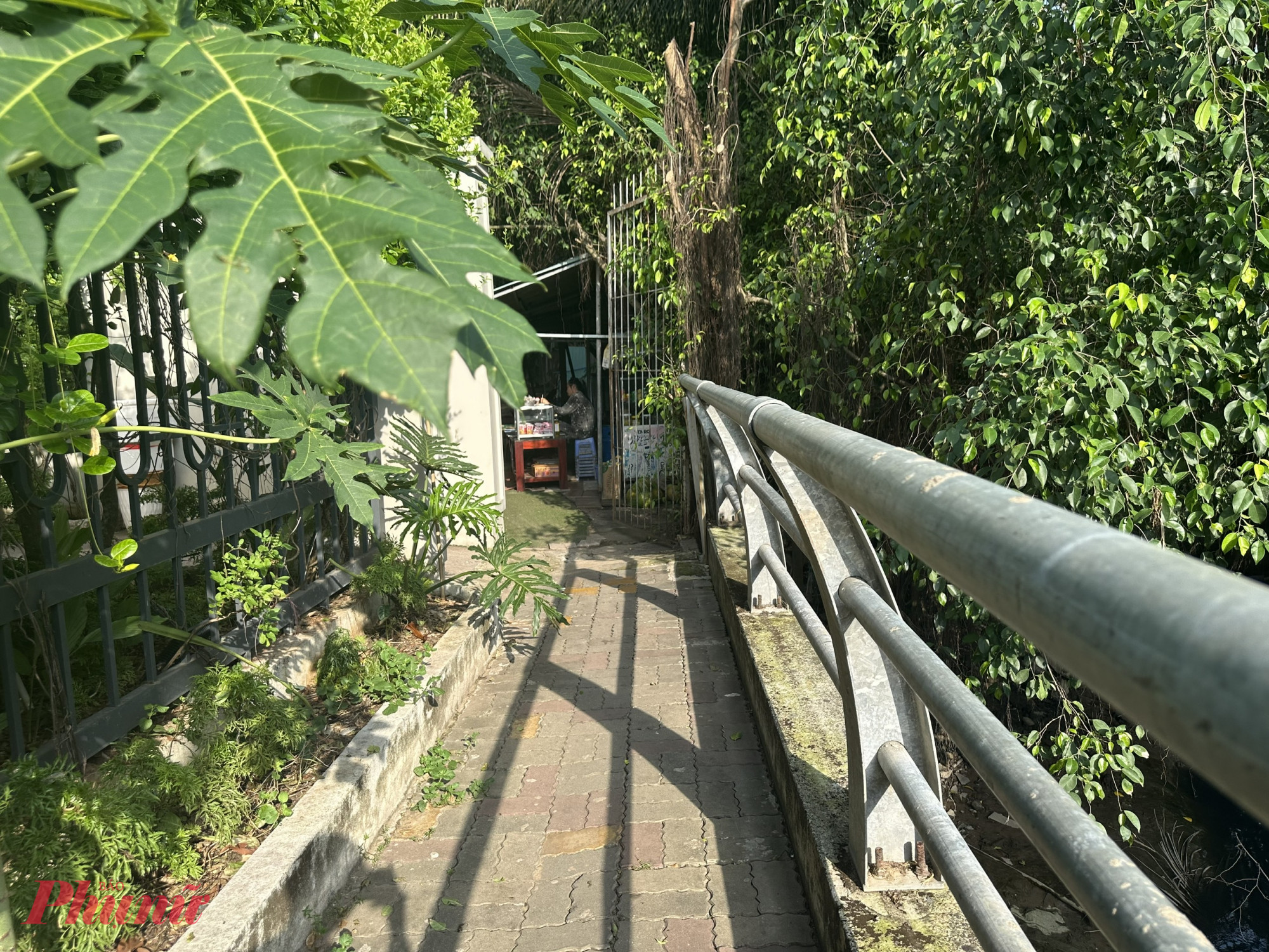 Hành lang ven rạch hiện là tuyến đi lại chính của một số hộ dân trong khu vực.