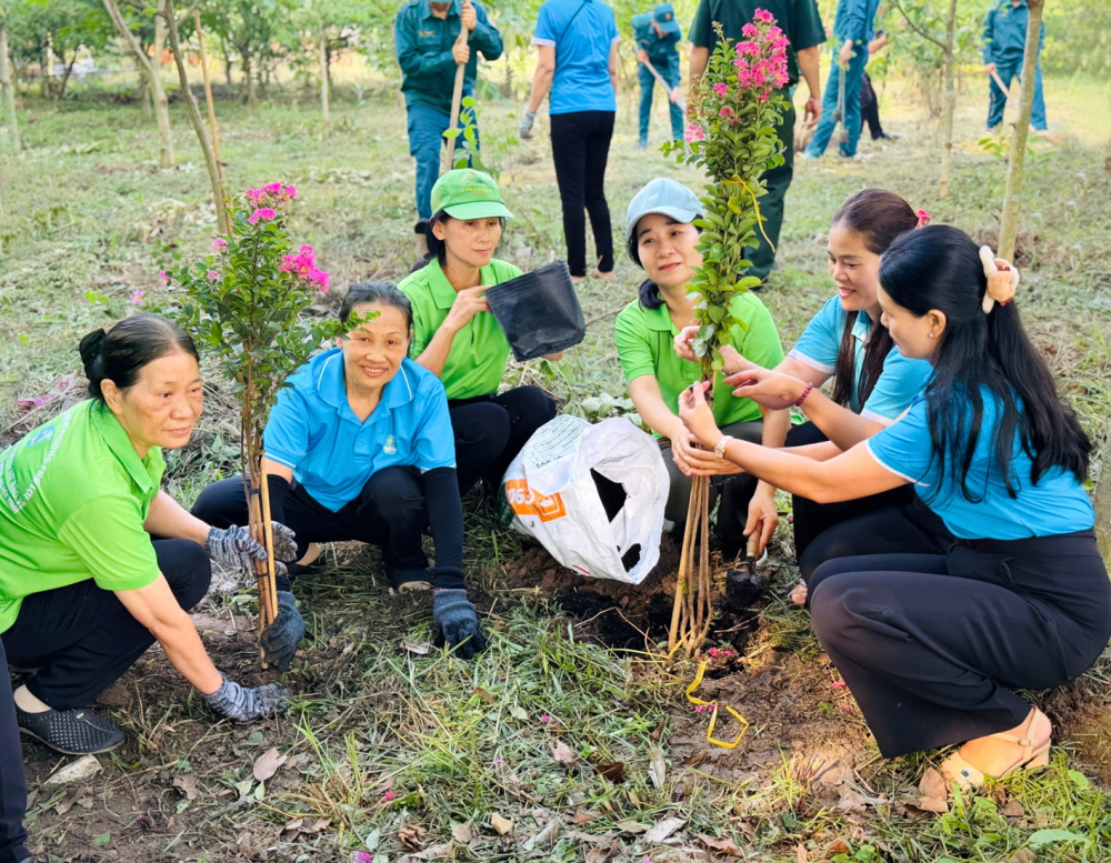 Cán bộ, hội viên phụ nữ phường Phú Lợi trồng cây xanh thực hiện công trình “Vườn hoa phụ nữ”