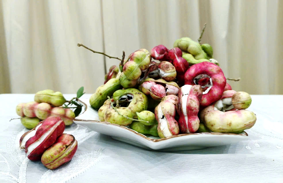 Trái me keo - Ảnh do tác giả cung cấp