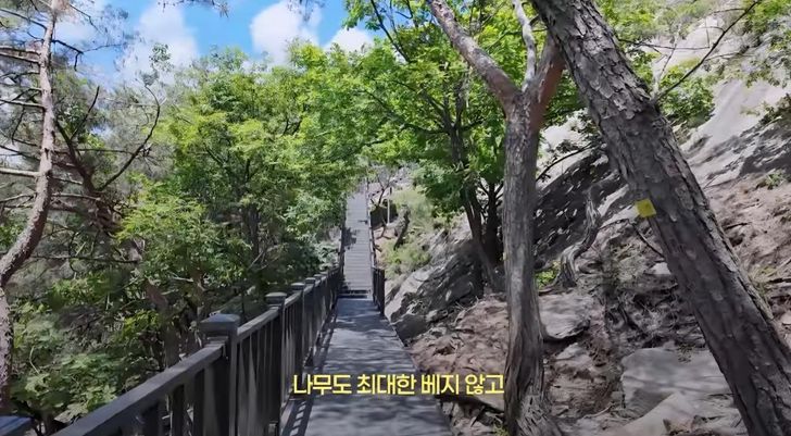 Trước khi mở cửa vào cuối tháng 8, nhiều vị trí trên đường mòn bí ẩn được lát gỗ để đảm bảo an toàn khi đi bộ