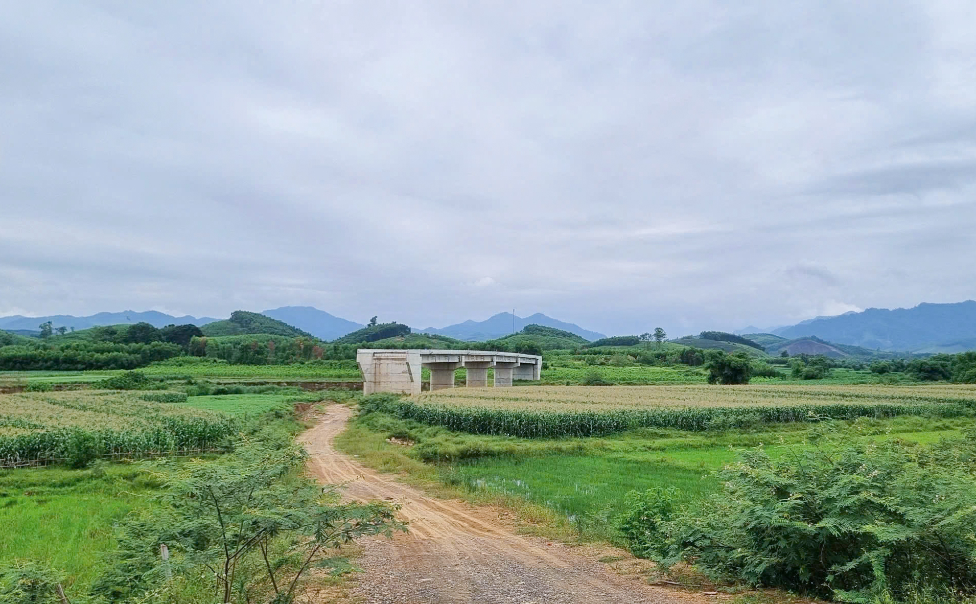 Dù đã cơ bản hoàn thành, song cầu Mô Vĩnh vẫn chưa được đưa vào sử dụng vì thiếu đường dẫn - Ảnh: Khánh Trung