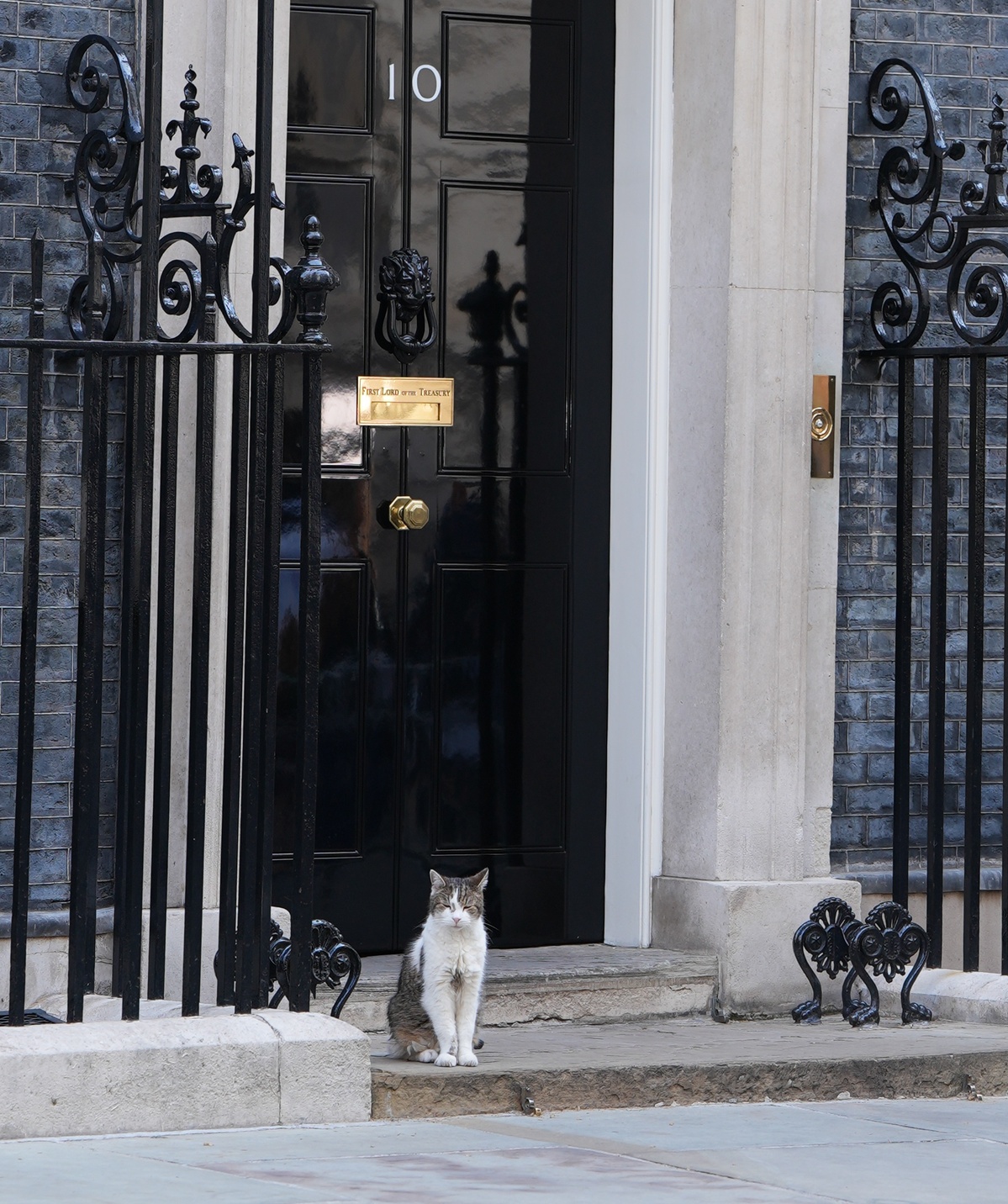 Chú mèo Larry ngồi trước cửa số 10 phố Downing ở London, Anh vào ngày 22/6/2026 trước khi Thủ tướng Keir Starmer tuyên bố từ chức - Ảnh: Xing Yi / China Daily