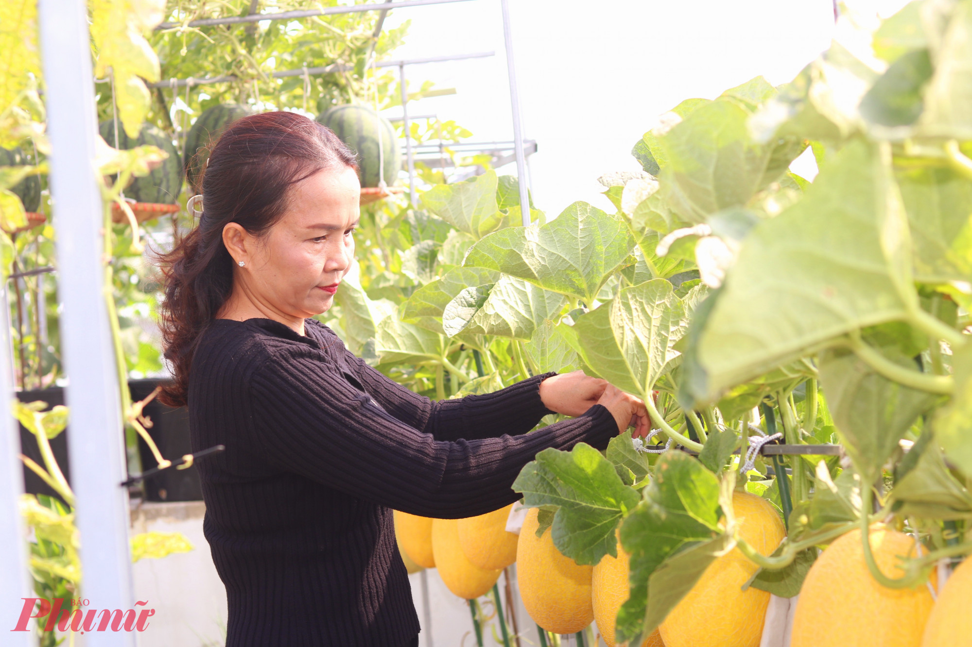 Theo chị Nhung, công việc làm vườn tuy có chút vất vả nhưng mang đến cho chị những khoảng nghỉ tinh thần cần thiết giữa cuộc mưu sinh - Ảnh: Mẫn Nhi