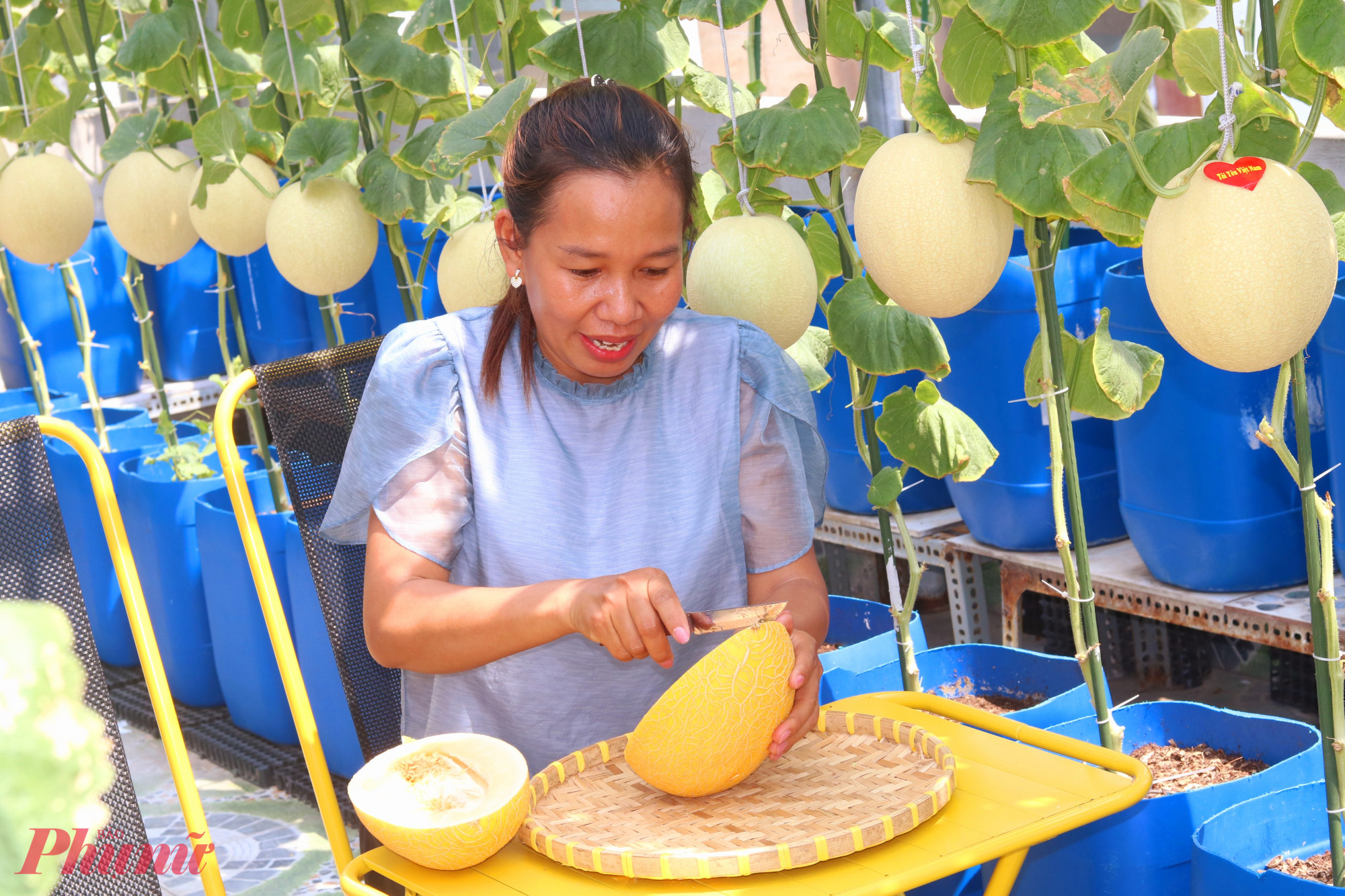 Chị Hường tậu một góc nhỏ trong vườn để mời bạn bè và cán bộ, hội viên phụ nữ ghé thăm vườn - Ảnh: Mẫn Nhi