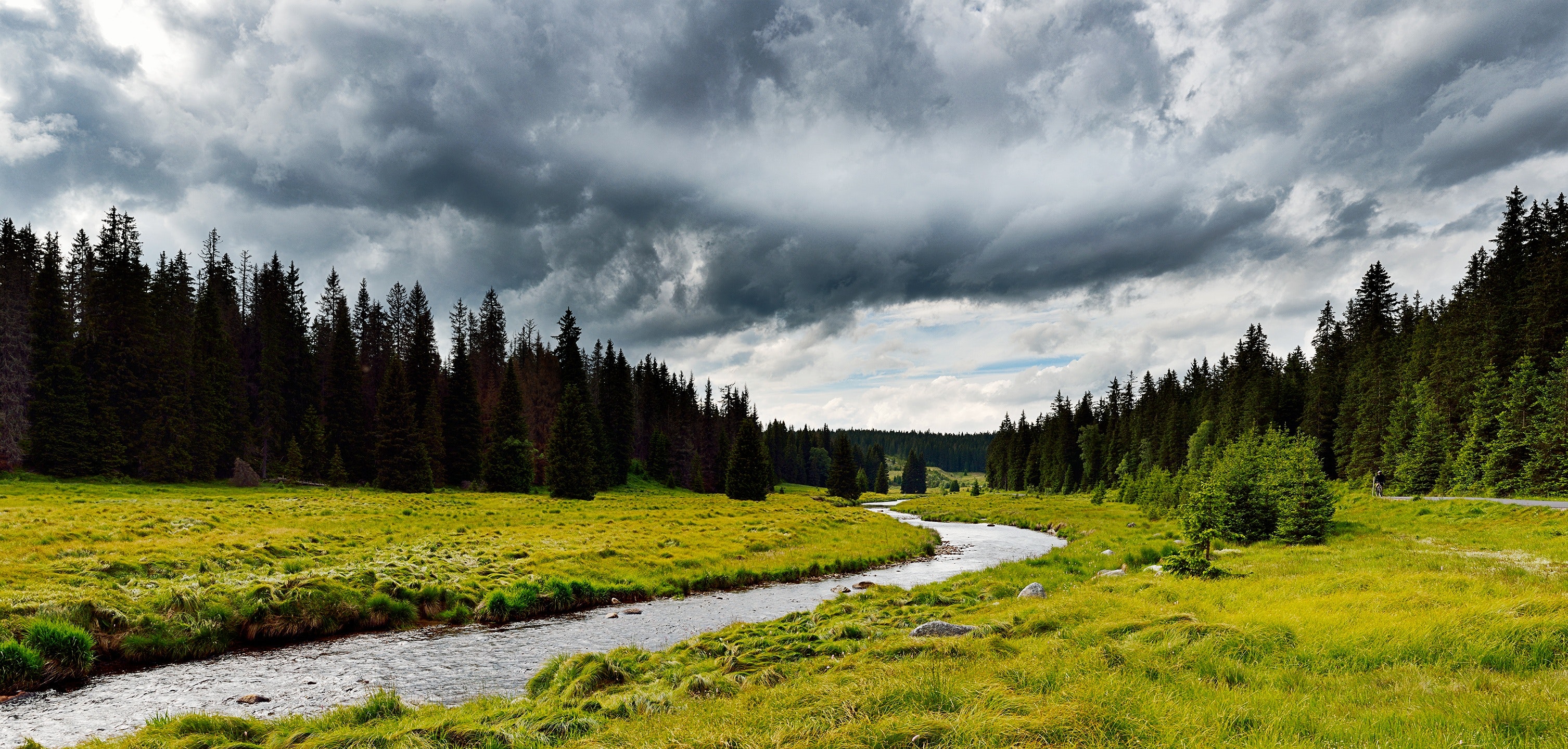 conifer-countryside-dark-clouds-289570.jpg