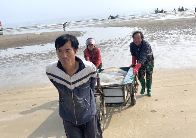 <p>Tháng 3 là thời điểm ngư dân vùng biển Nghệ An, Hà Tĩnh bước vào mùa sứa. Từ sáng sớm, người dân nơi đây đã bắt đầu tấp nập thuyền, bè mảng ra khơi đánh bắt loài nhuyễn thể này.</p>