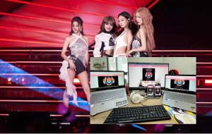 blackpink sập web