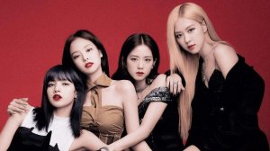 Blackpink VCPMC thu hồi giấy phép