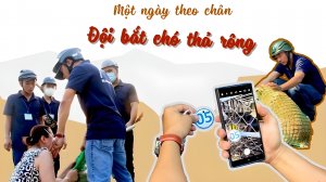 Một ngày theo chân đội bắt chó thả rông