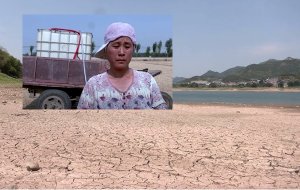 Nông dân Trung Quốc khốn khổ vì hạn hán kéo dài