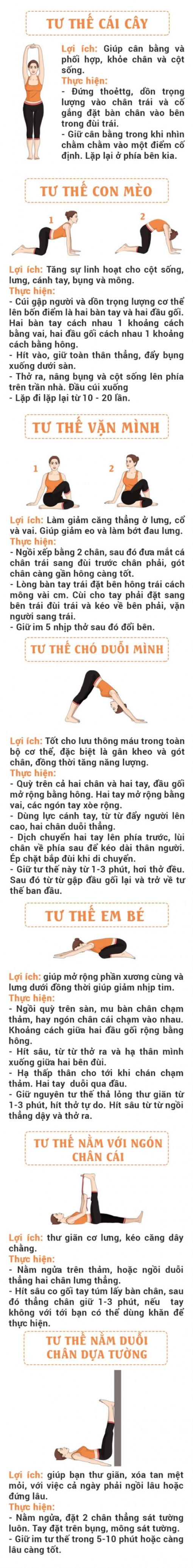 7 tư thế Yoga giúp giảm đau lưng hiệu quả