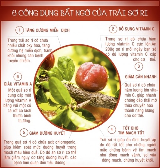 6 công dụng bất ngờ của trái sơ ri