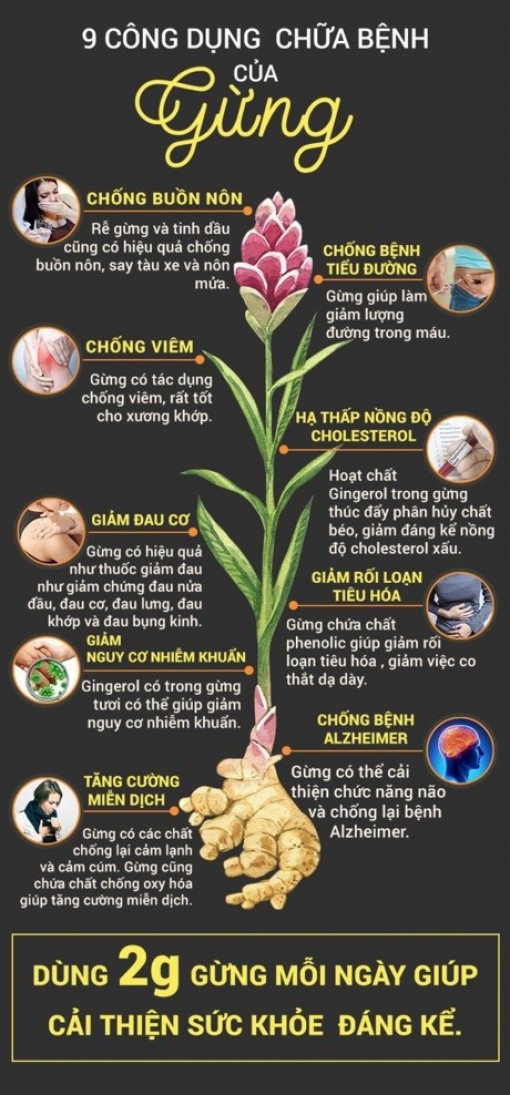 9 công dụng chữa bệnh của gừng