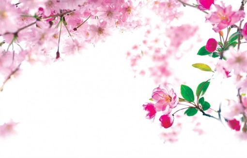 Trái tim đã rung rinh, mà người ta vẫn cứ làm giá