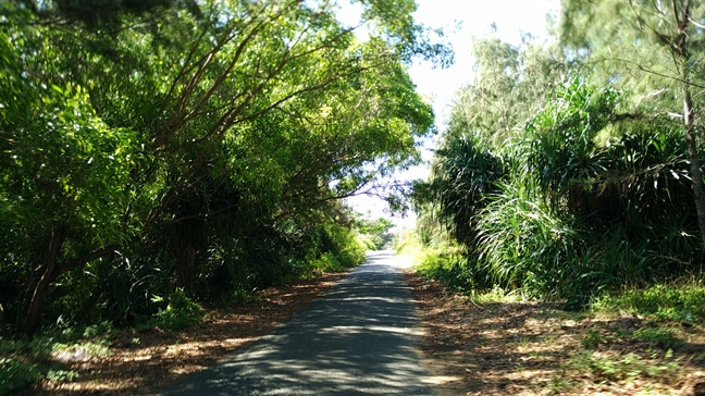 Kinh nghiem du lich tu tuc dao Phu Quy tiet kiem danh cho cac cap doi