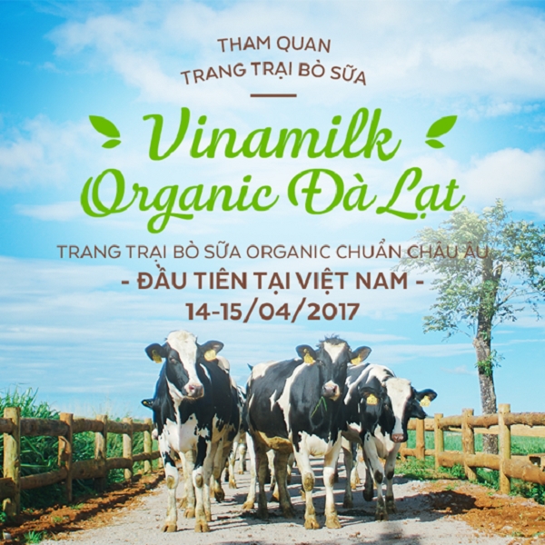 15 gia dinh may man hao huc chuan bi hanh trinh Vinamilk Organic Farm Tour