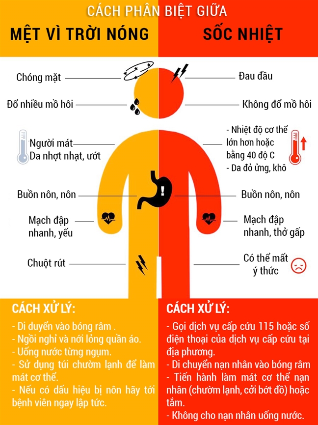 Dấu Hiệu Sốc Nhiệt và Cách Xử Trí