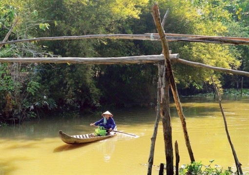Nhớ con nước lớn ròng, nhớ mùa điên điển, nhớ người biền biệt...