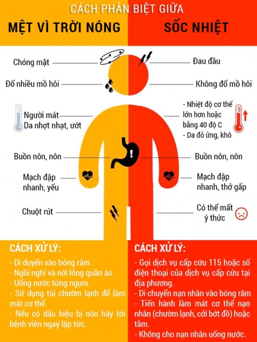 Phân biệt các dấu hiệu khác biệt giữa sốc nhiệt và mệt vì nắng nóng