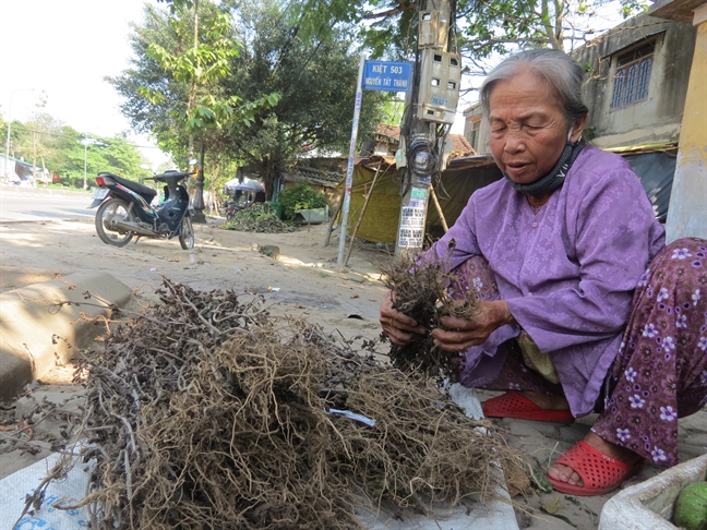 Doc dao lang 'san' la thuoc, kiem tien trieu cua nguoi Da Le