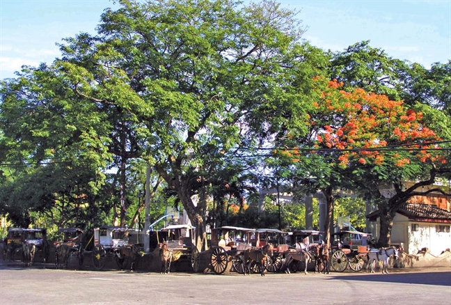 Dat chan den Vigan, Philippines goi nho net duyen que nha Hoi An