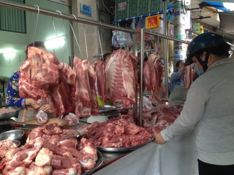 Giá thịt heo giảm kỷ lục: người chăn nuôi phá sản, đóng chuồng, cho heo ăn cầm chừng